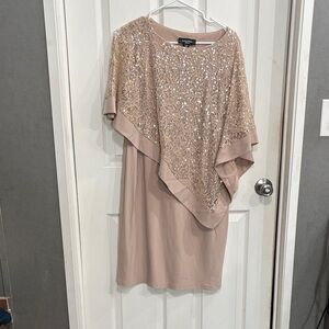 R&M Richards Beige Lace Dress with Sequins